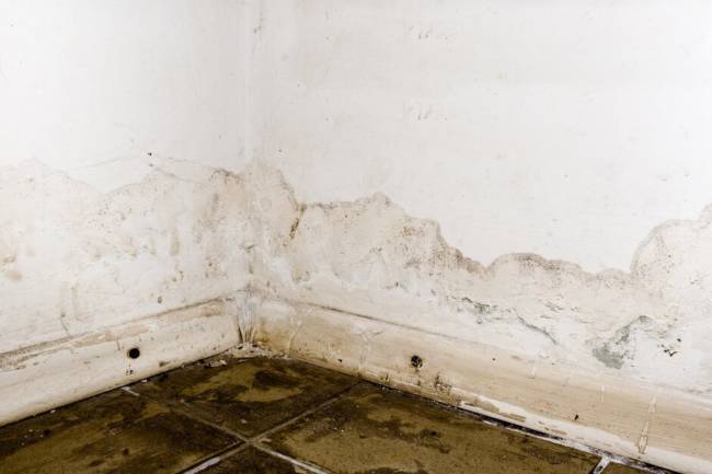 Flooding rainwater or floor heating systems, causing damage, peeling paint and mildew.