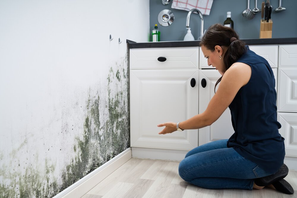 Woman Looking At Mold Wall Damage