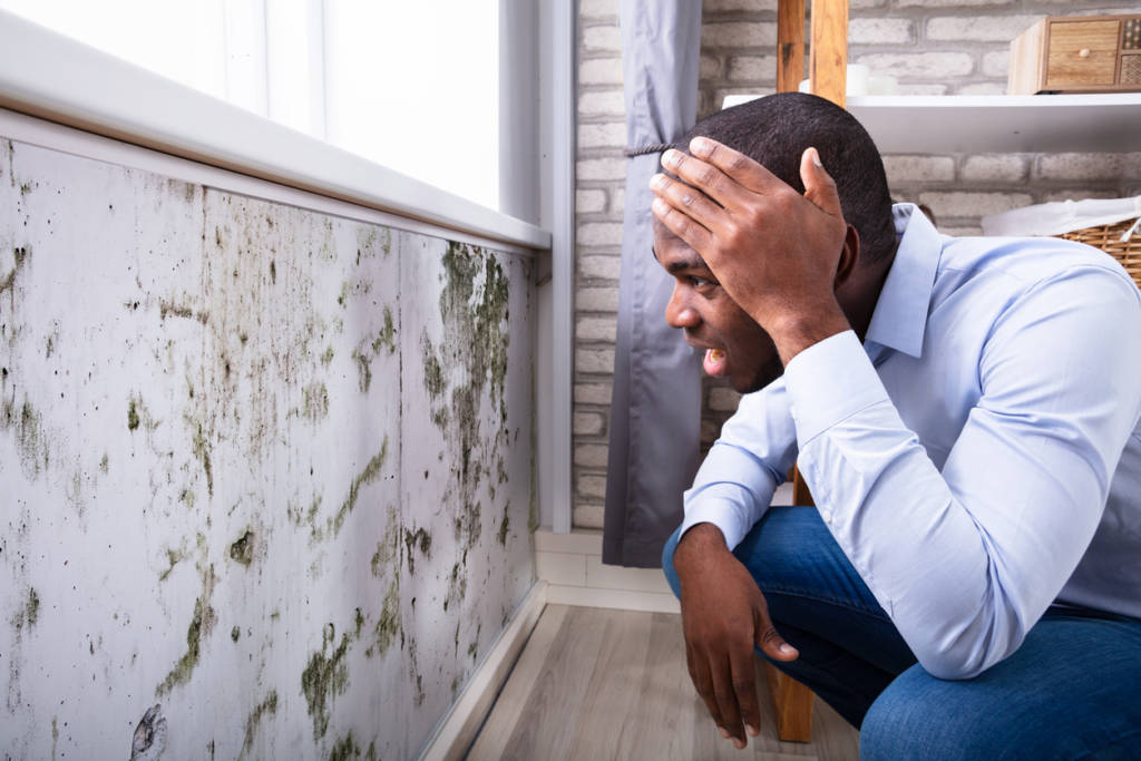 Shocked Man Looking At Mold On Wall